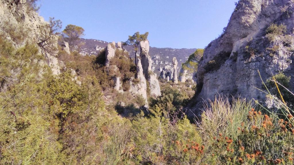 Img 20230824 093702